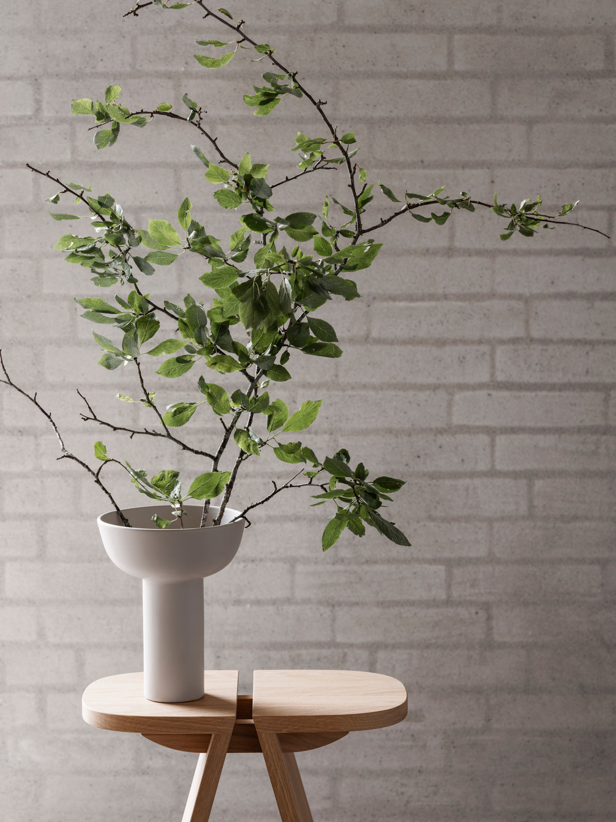 Blomus Vase -MIYABI- Moonbeam – Ansicht 1